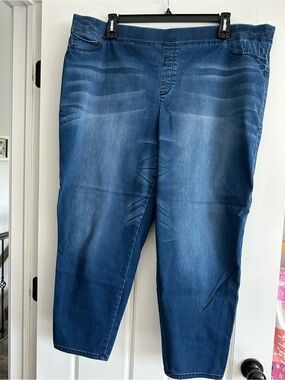 Women’s plus size 3X pull on Denim Jeggings.